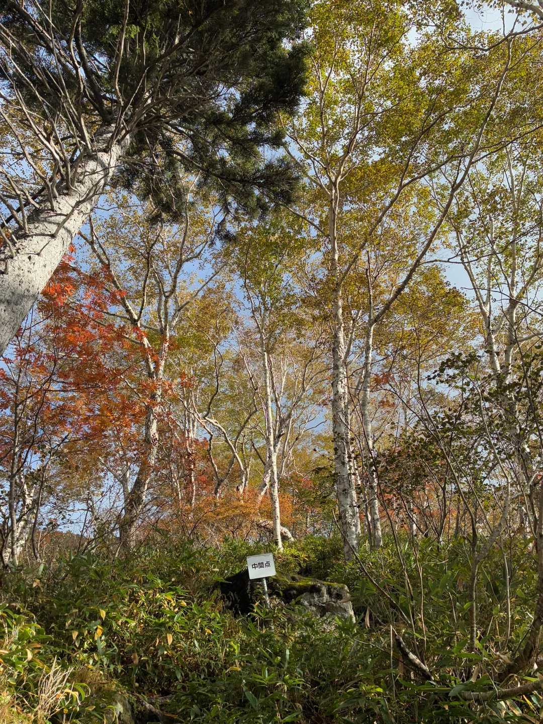 幌尻岳 往復コースの写真