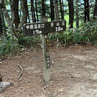 第二ベンチまで下りてきたら雨降ってない。
ここでレイン脱ぐ
