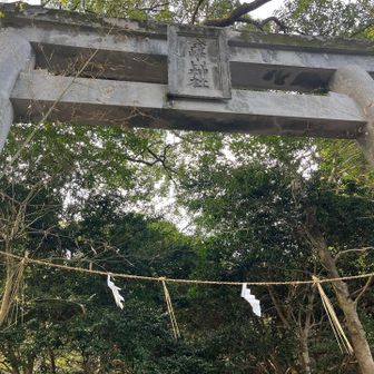 神社の参道なのですか。