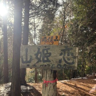 初めて来た恋姫山🩷