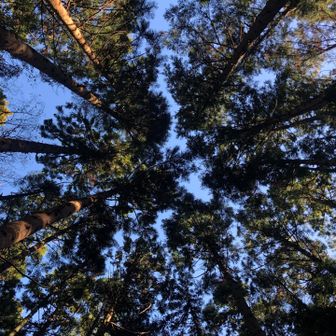 手前でtakahashiさんにお会いし、こちらをパシャ😊