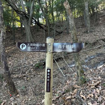 数年前登った道ですが印象が変わってました。登山道も時と共に普遍では無いのですね。