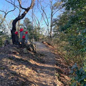 今日のラストピーク地蔵峰に到着🙌