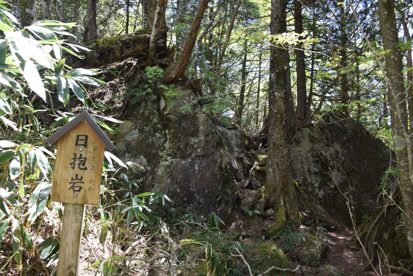 位山 往復コースの写真