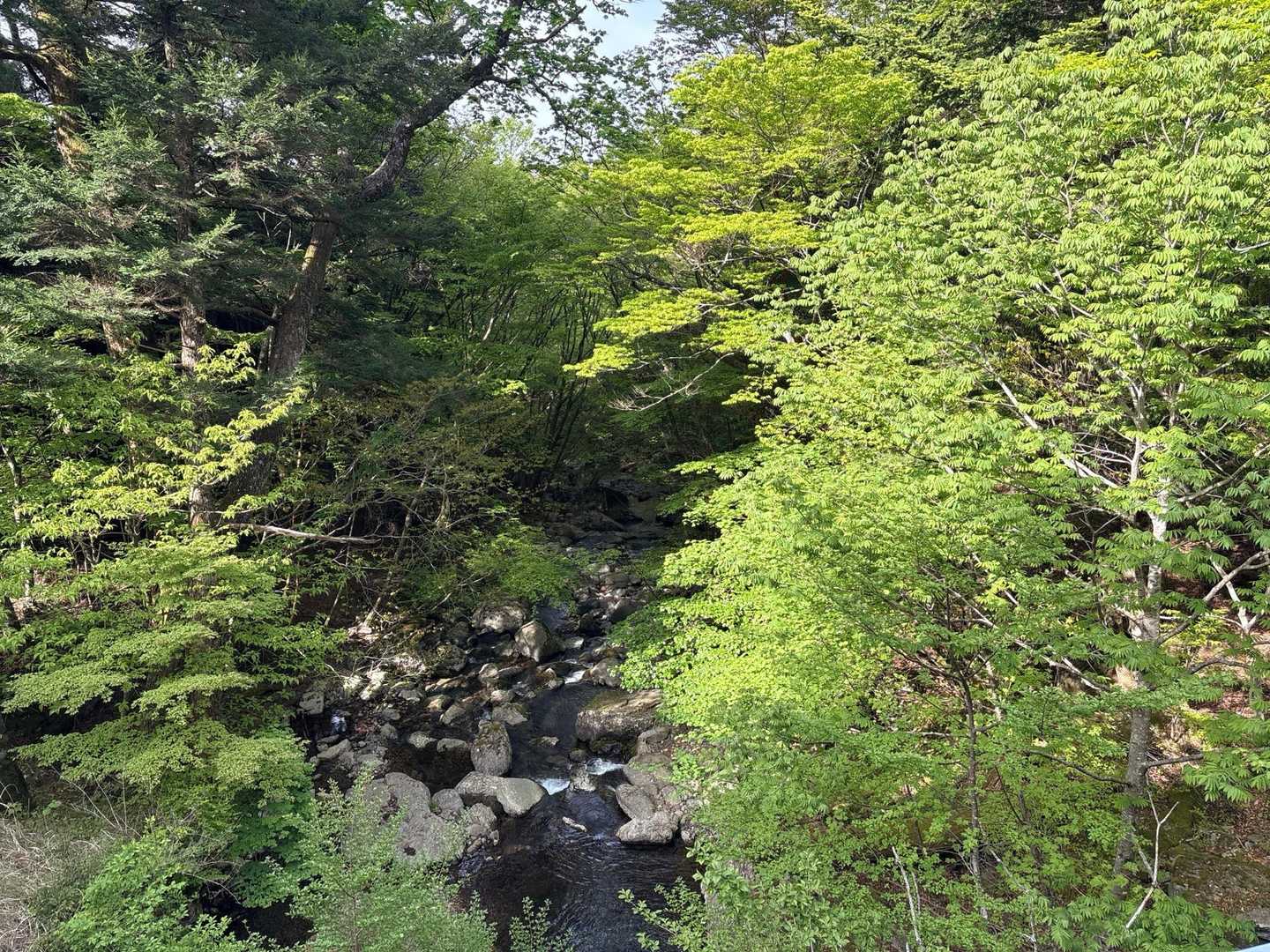 沢💦