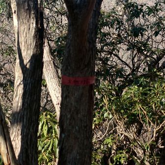 山頂標識
ピンボケご容赦🙏