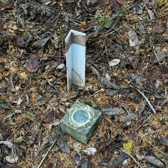 この辺が山頂⁉️
山名板なし🙅‍♀️