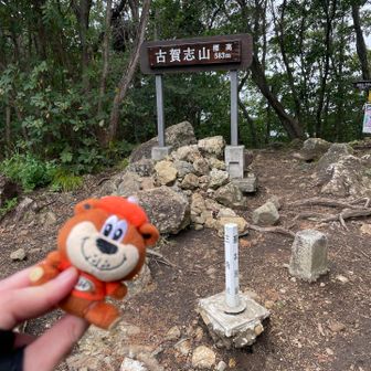 古賀志山（583m）山頂
本日３つ目で最高峰

宇都宮市の最高峰で「日本百低山」や「栃木百名山」にも選ばれている北関東屈指の名山らしい