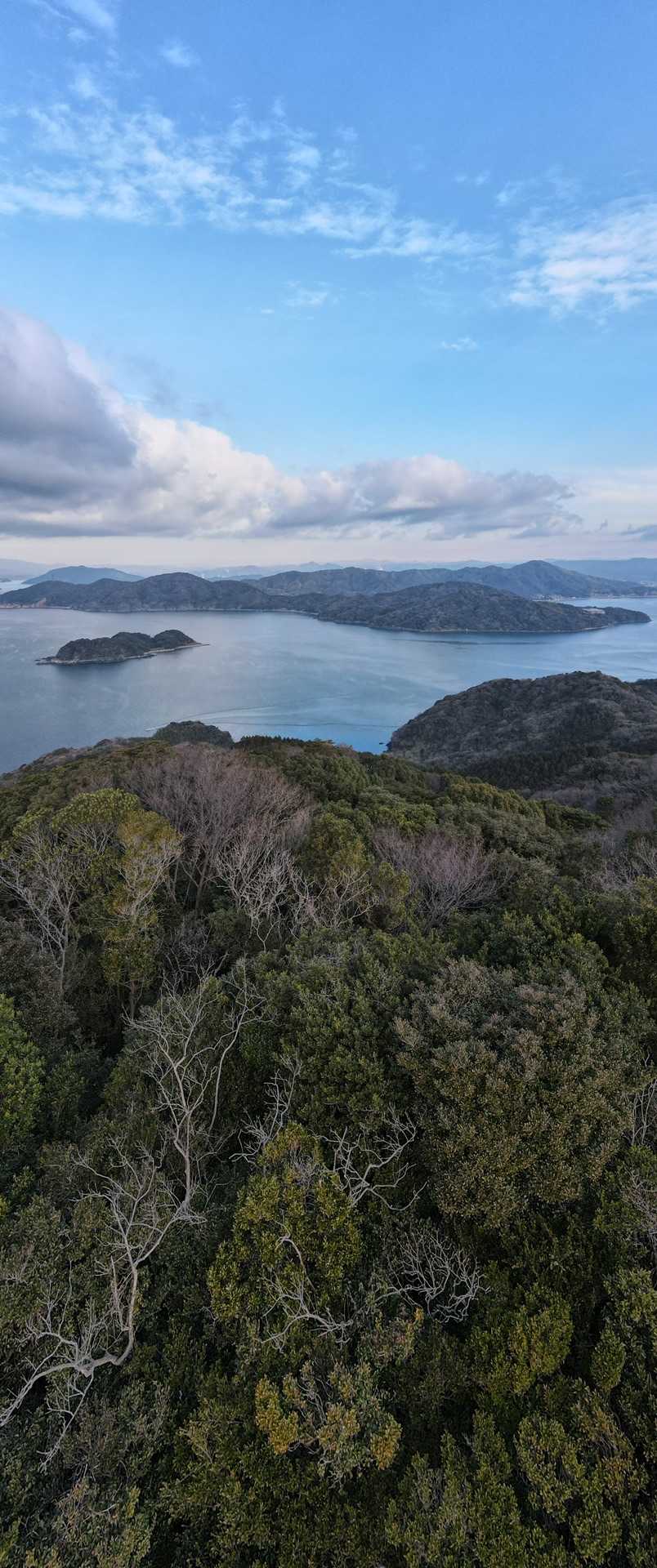 尻高山（山口県下松市）の写真