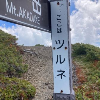 ツルネ👍　初登頂