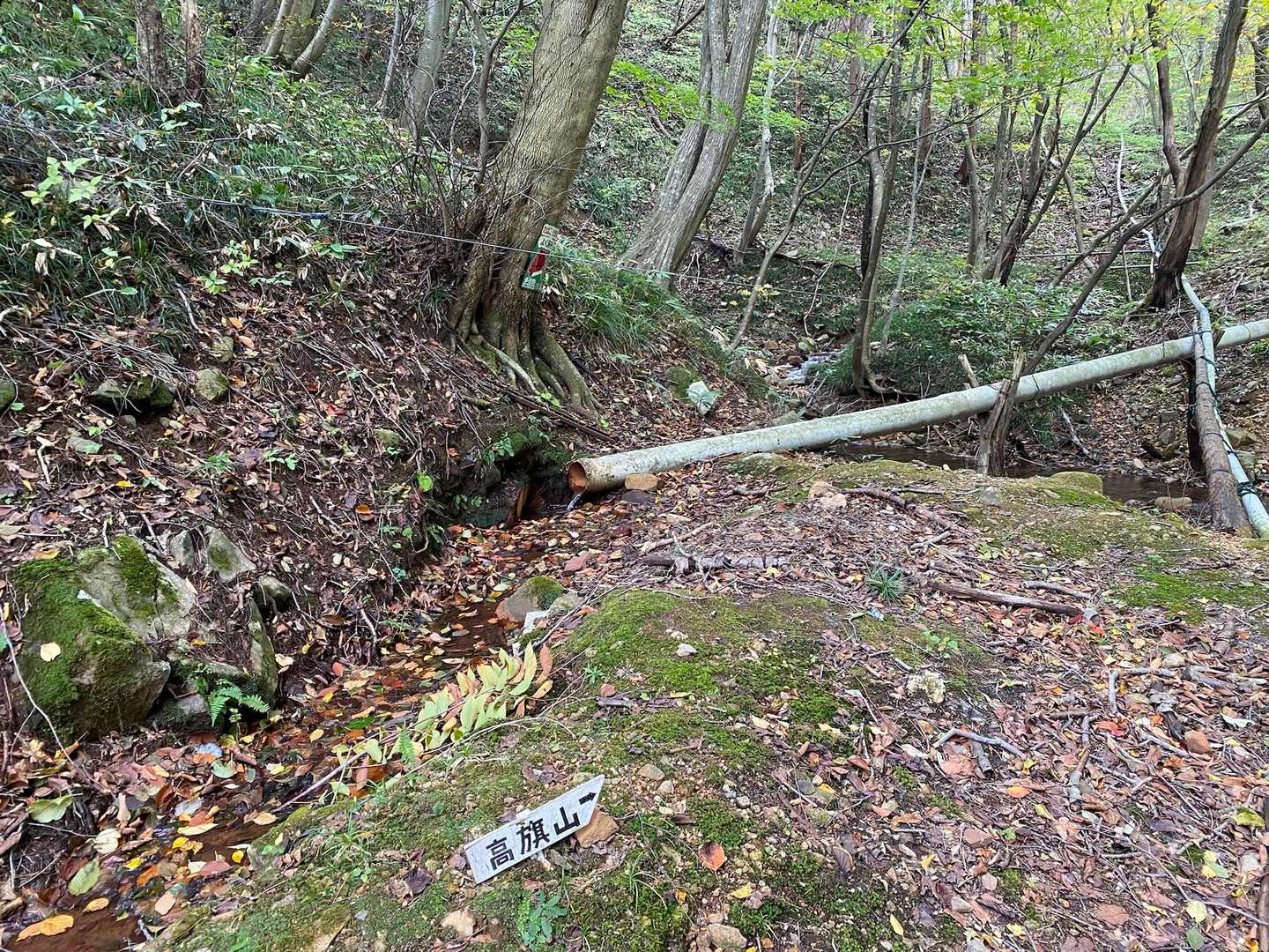 高旗山 往復コースの写真