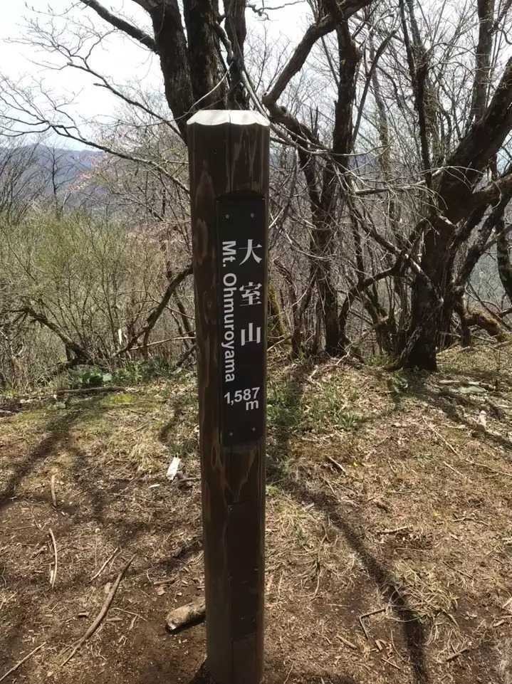 大室山の写真