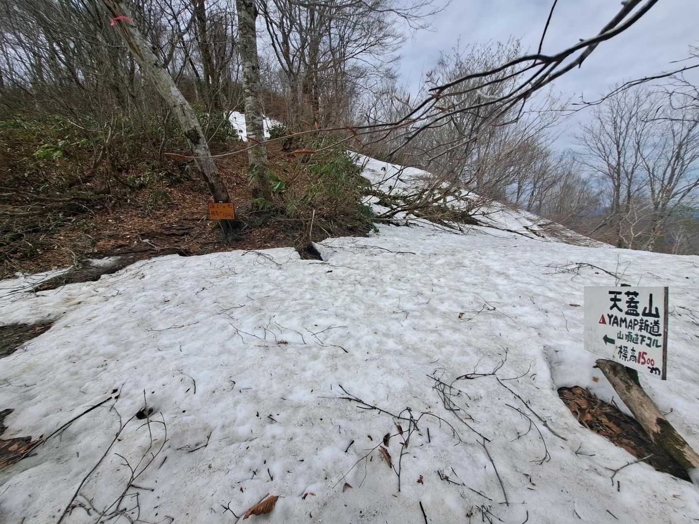 雪道❗
YAMAP新道との分岐に着きました
新道もしんどいだろうけどこっちだって
しんど‼️
