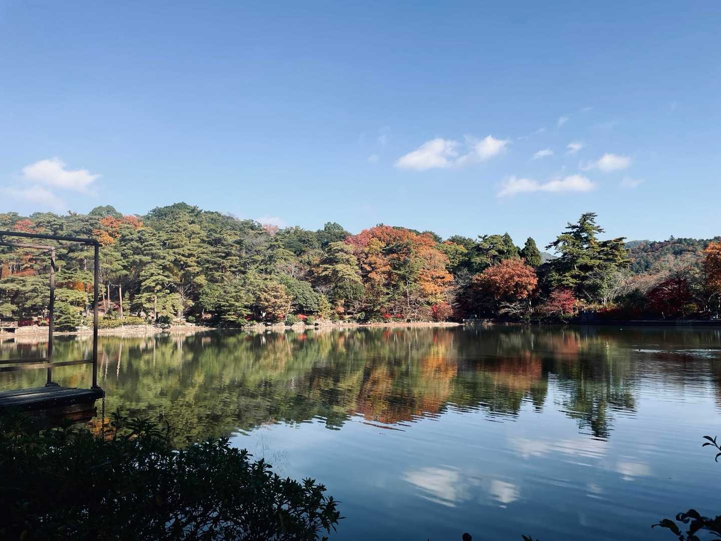 今日はハイカーさんみんなゆっくり歩いて「キレイやねー」「良い日にきたねー」と話してはった。ほんまにそう思います👏🏼