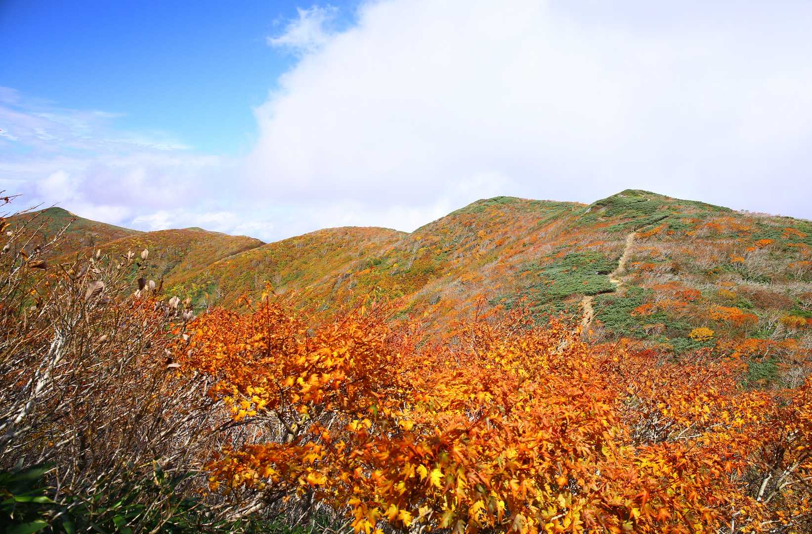 高下岳北峰🗻に向かいます👣💨