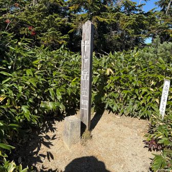 平ヶ岳山頂。眺望なし。
