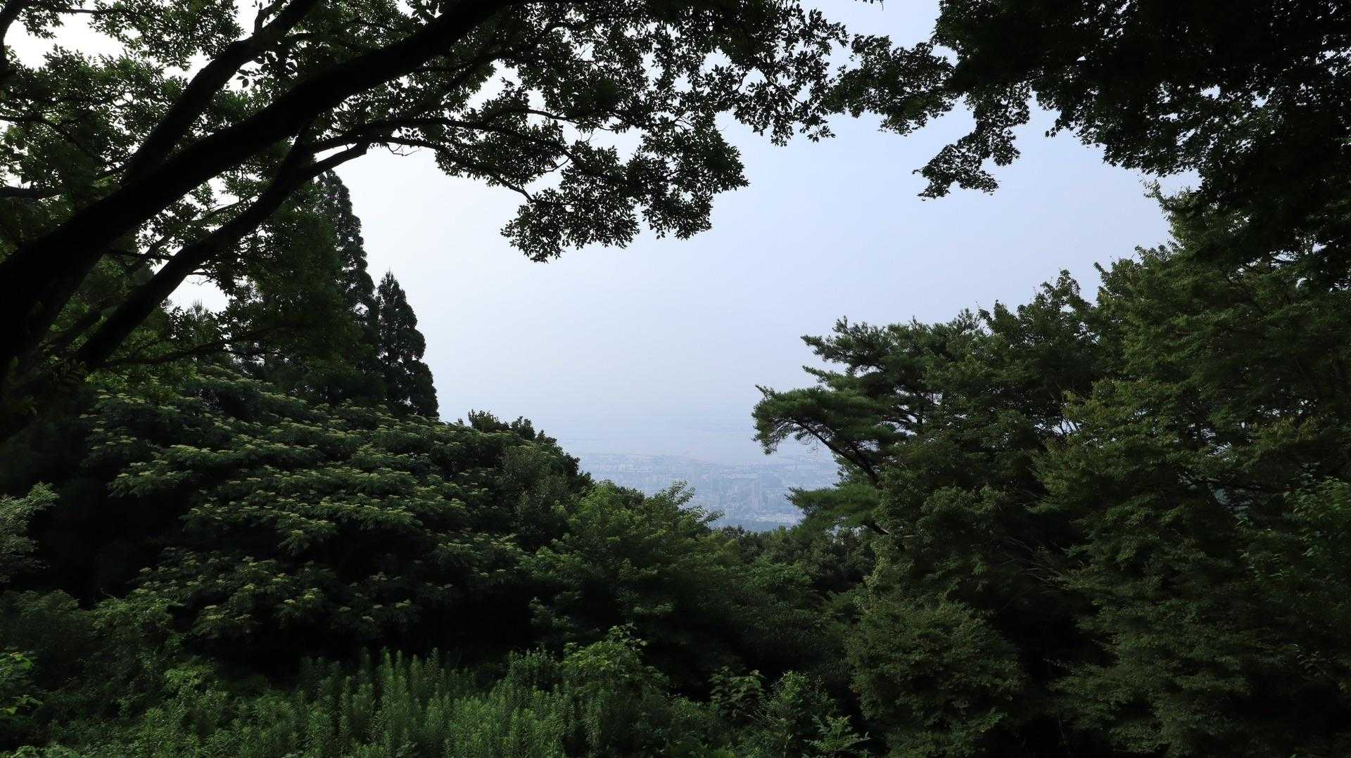 展望スポット👀
ガスが抜けてきた👌