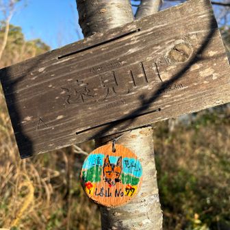 しま山完登目指されてる広島の方の登頂記念のお札ありましたよー