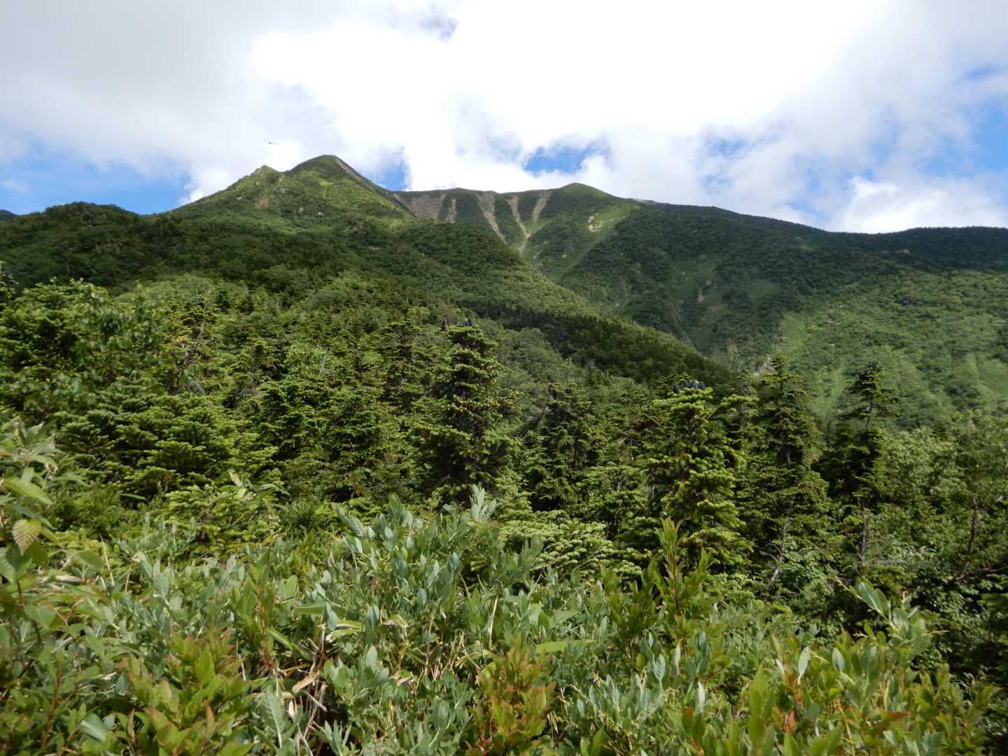 下山から1時間30分。左のピークが御舎利山で別山平の右のぽっこりが別山。少しズーム。