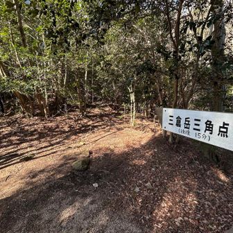 そして三角点にも立ち寄り