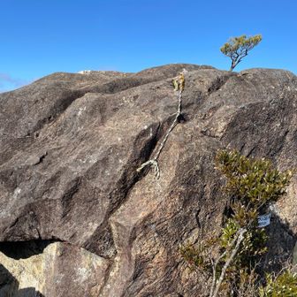 カランコロン岩の岩頂はパス🙅