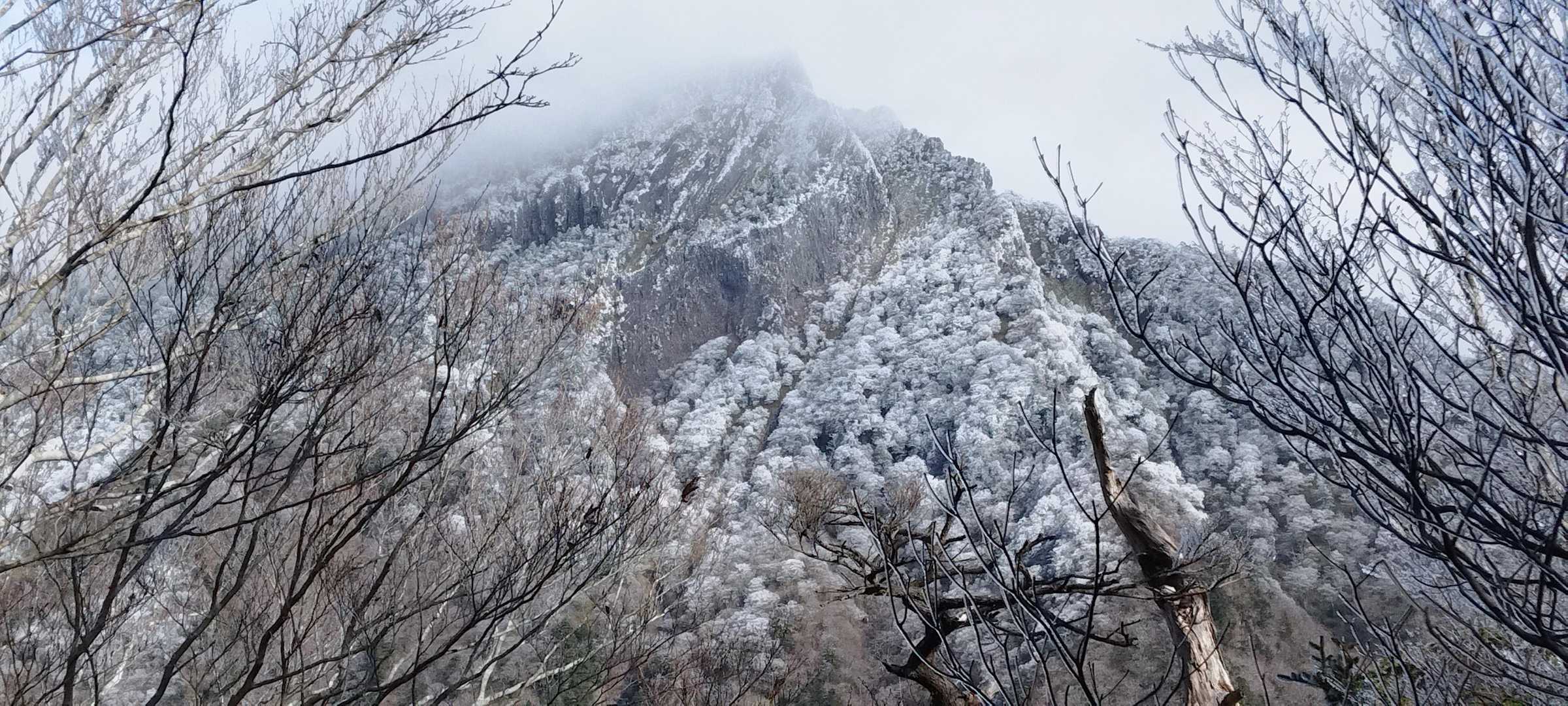 尾根道まで登ってきて石鎚山が見えてきたが、頂上付近はガスがかかっている。