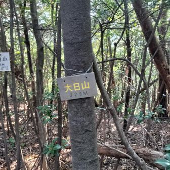 大日山