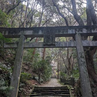 かなり立派な鳥居