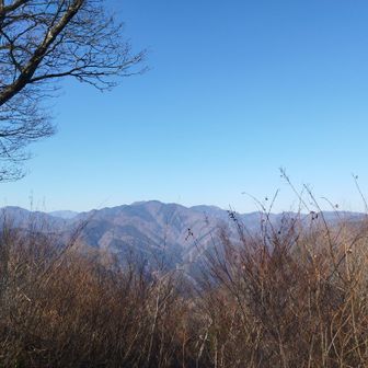 川苔山の左奥に雲取山