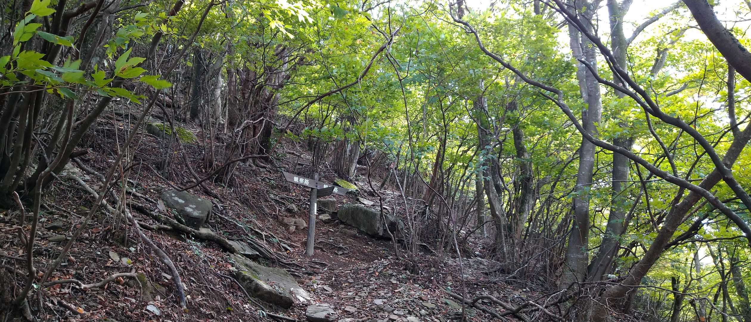 英彦山（中岳） 往復コースの写真