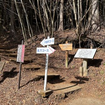 登山口に戻りました