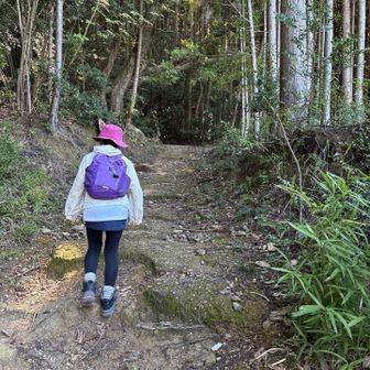 ちゃんとした登山道を歩くのは2ヶ月ぶり