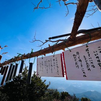 
                           (ᯫ᳐˶ꔷ֊ꔷᯫ᳐) はぃ.ᐟ

             ぜ～んぶ鳴らしちゃいました‪𐤔𐤔‬