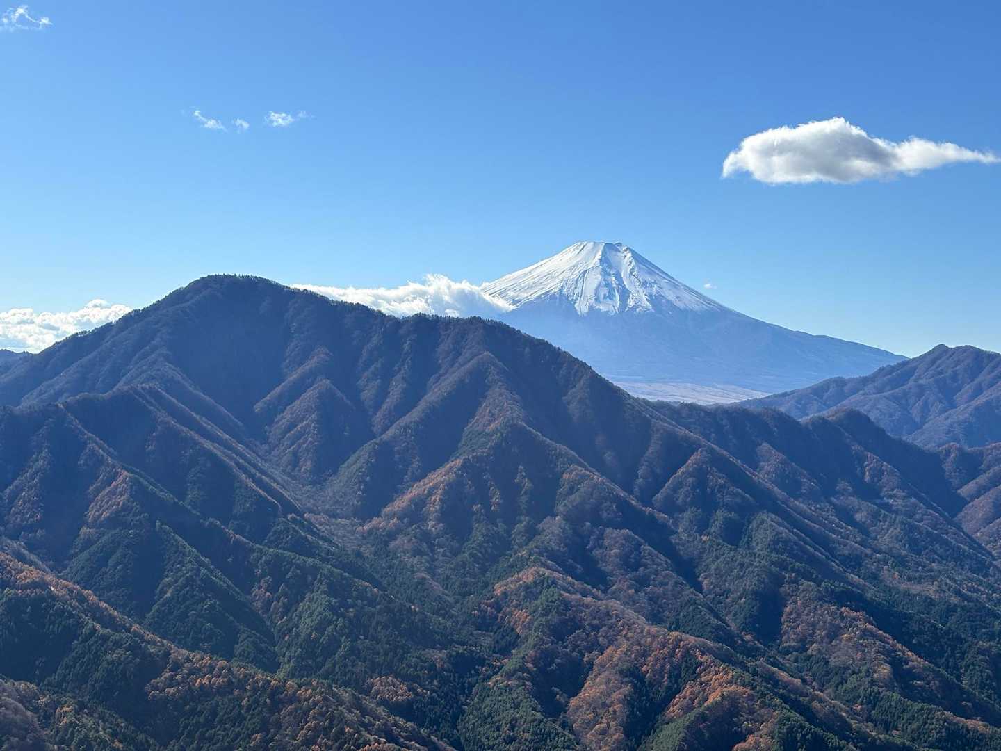 道坂隧道入口バス停-道坂峠-今倉山-松山 周回コースの写真