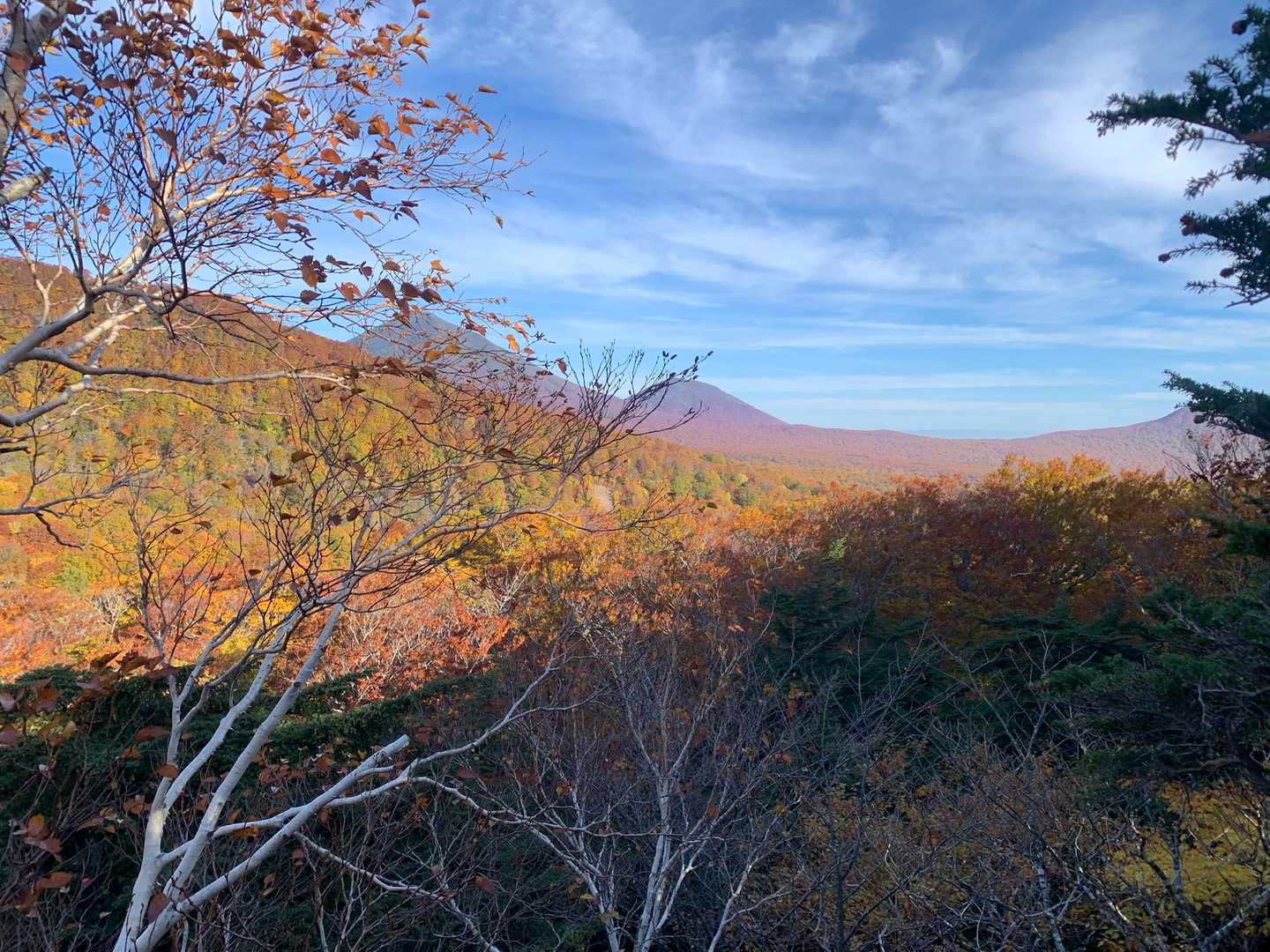 仙人橋-松森山 往復コースの写真
