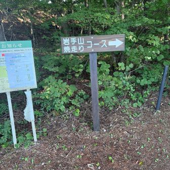 登山口です。暑い〜