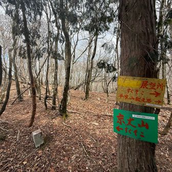 京丈山まであと少し
久しぶりの登山⛰️、このルート長ーく感じます😅