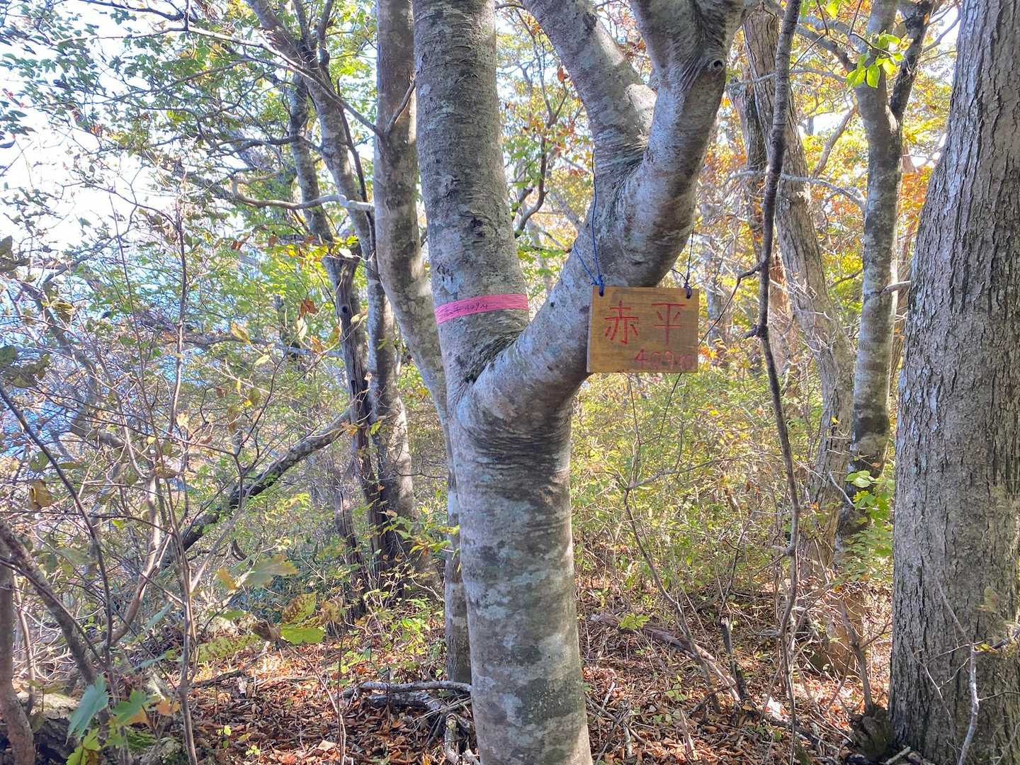 漉磯海岸登山口-赤平-霞露ヶ岳 往復コースの写真