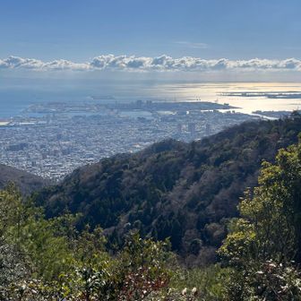 もちろん眺望も良い。本日何度目かのベイエリア。