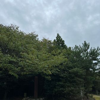 山頂