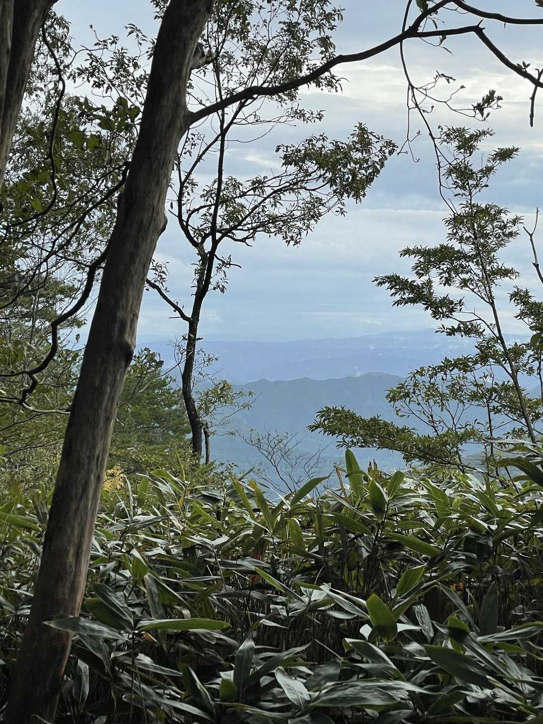 結構な高さだな✨