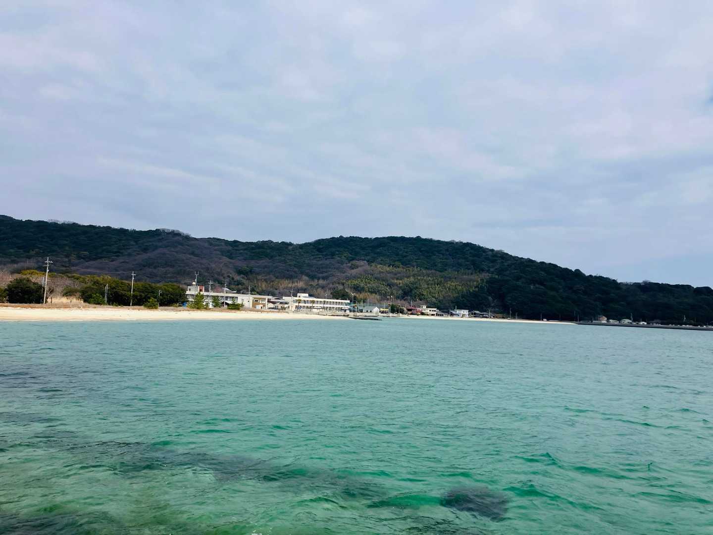 江の浦港が見えてきました