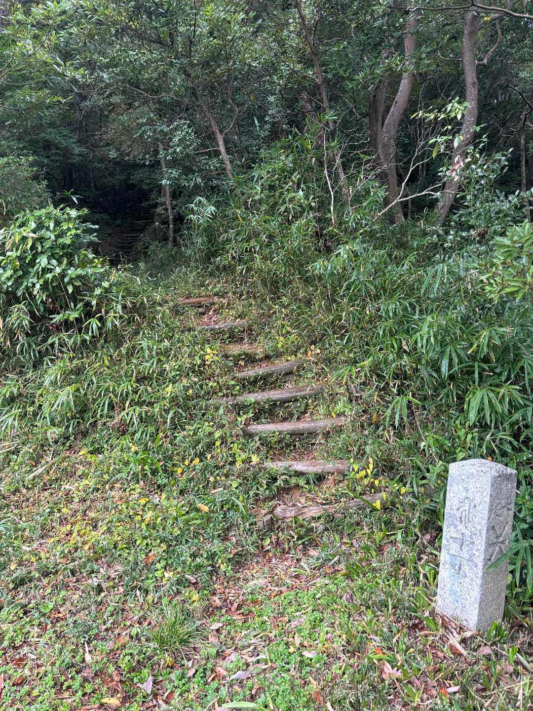 車道に合流し下山