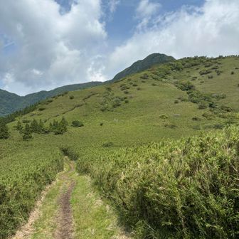 暑いけど、いい感じ。
これまで歩いて来た笹尾根ロードと右側に金時山
