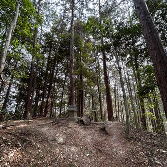 事務仕事が残ってるので早めに帰ります