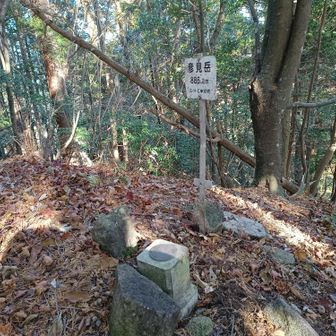 あら、S・H・C別府は三角点を山頂としていたようだ。