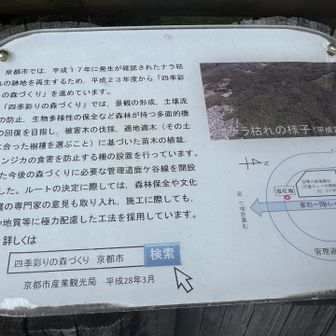 たまには自然環境について勉強しなさい。
はーい🙋‍♂️