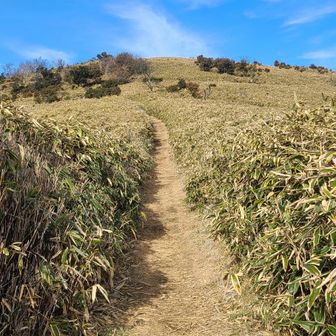 山頂まではずっと登りスニーカーでOK😊