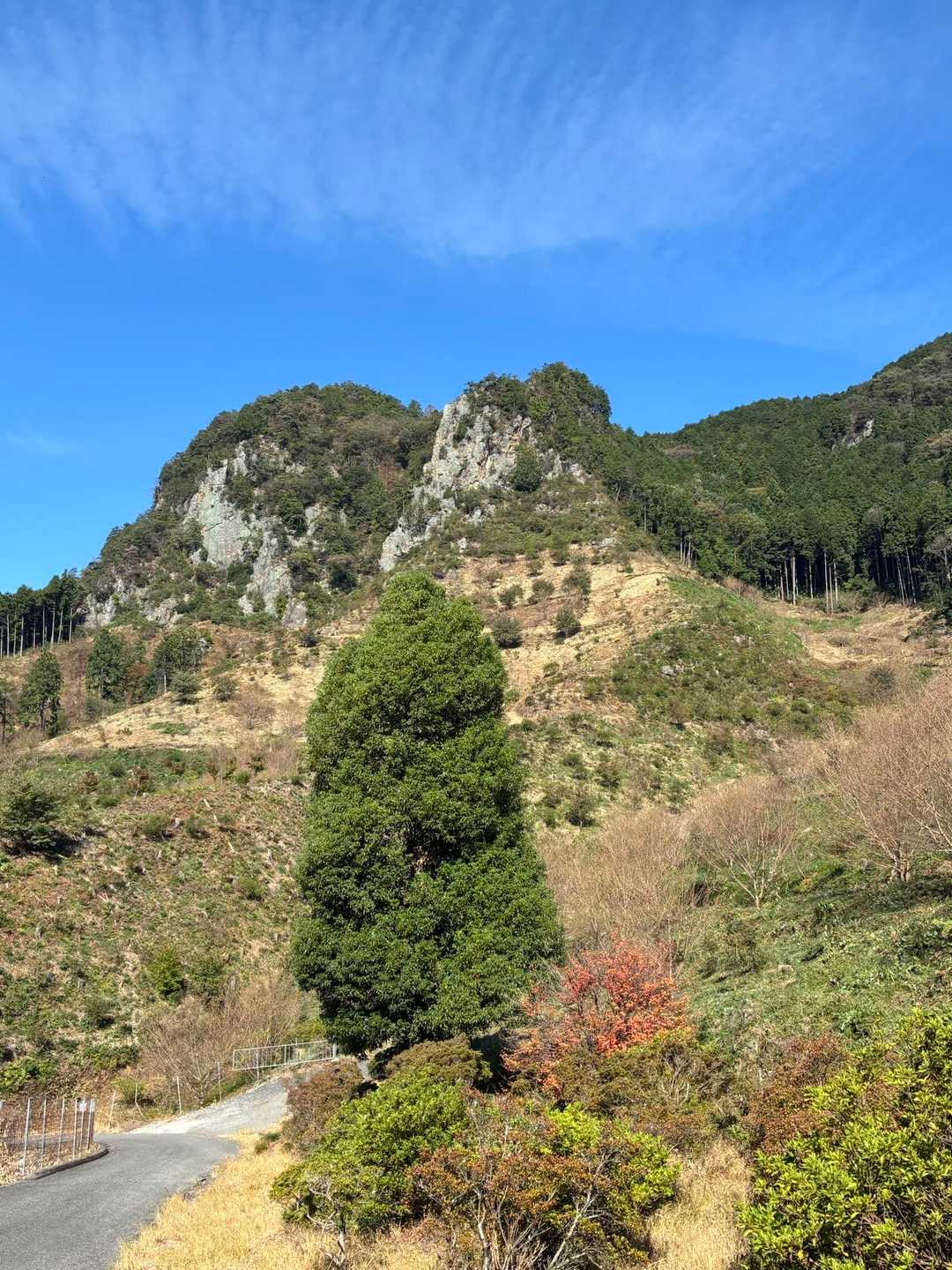 南登山道入口-南コース登山口-坊主山 往復コースの写真
