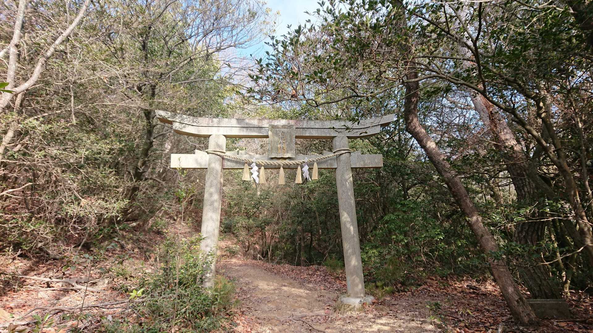 高津山の写真